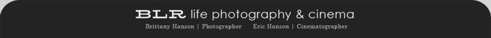 Northern California Wedding Photographers | San Francisco Bay Area, Napa, Sonoma, and Las Vegas logo